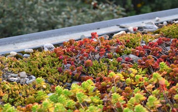 the cost of Chawston green roof installation