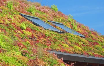 Chawston living roof systems