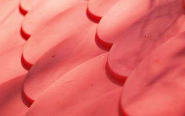 Chawston plastic roof costs